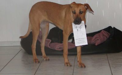 Maja_Meike_7 Maja_Meike_7