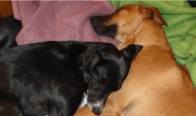 Maja_Meike_8 Maja_Meike_8