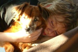 Max13-HE22 Max13-HE22