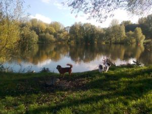 Max13-HE27 Max13-HE27