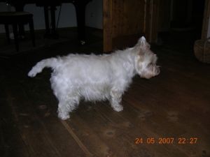 Molly06-2007-1