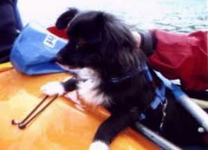 Oskar-Moselfahrt_06-05