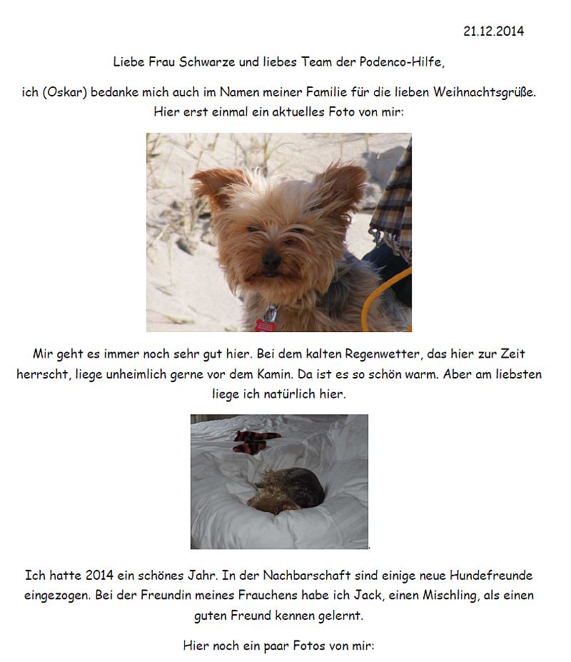 Oskar-Yorki-HE17-2011