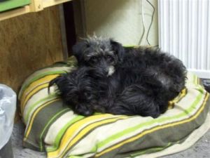 Patty_HE_Juni1 Patty_HE_Juni1