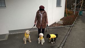 Pauli-Lucky-2011-H53