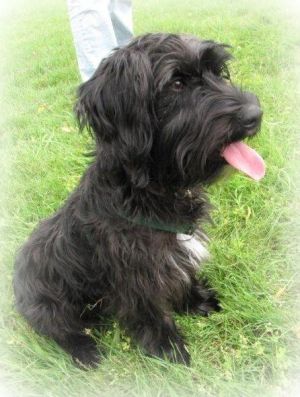 Pocito-HE14 Pocito-HE14