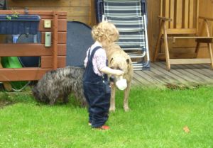 Rico-Affenpinscher26