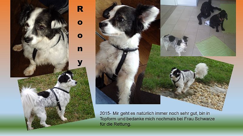 Rudi-Roony-He11