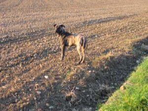 Sammy_Bardino-11-2008