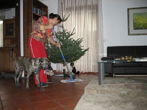 Sammy_Bardino-7-2008