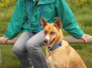 Sandy_Luna-2009-HE05