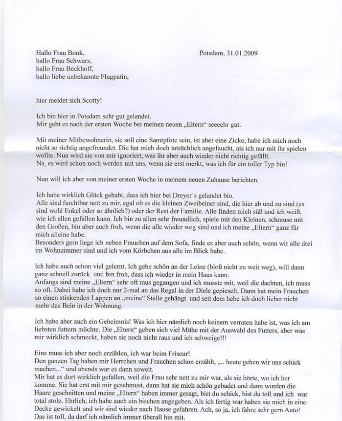 Scotty-Seite1