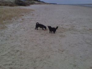 Tammi und Jos� am Strand-HE05