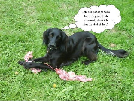 Tessa10-10-15 Tessa10-10-15