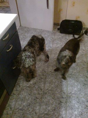 Tim-Happy04-2011 Tim-Happy04-2011