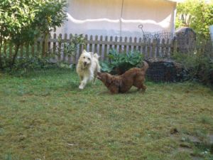 Victor und Bine im Garten-2011