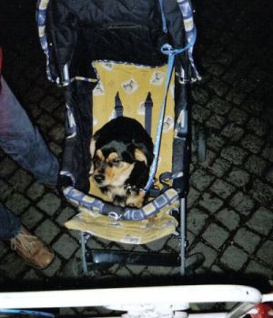 leon im kinderwagen-HE05