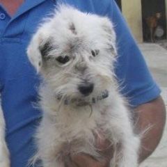 marco-2011-weihnachten