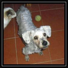 regenbogen-brucha-vorschau